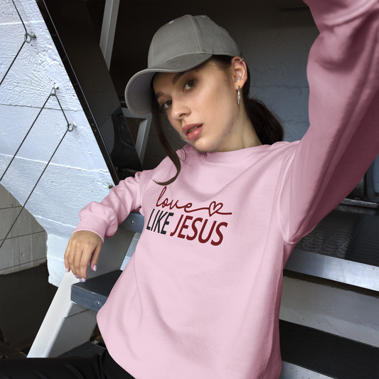 Love Like Jesus Embroidered Sweatshirt